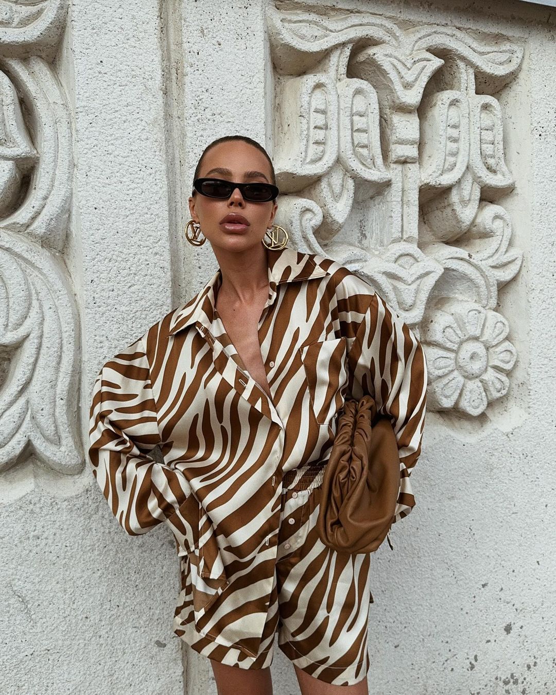 Savanna Zebra Print Set